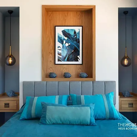 Villa The House Helis Milas